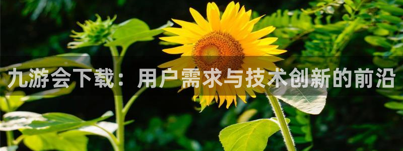 聚彩官网正版