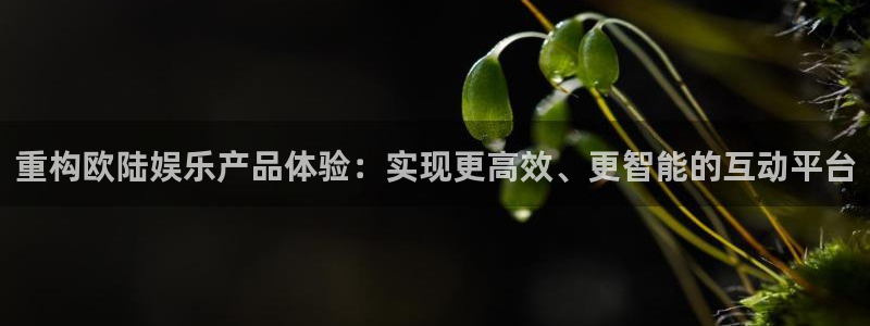 精聚彩研画材有限公司