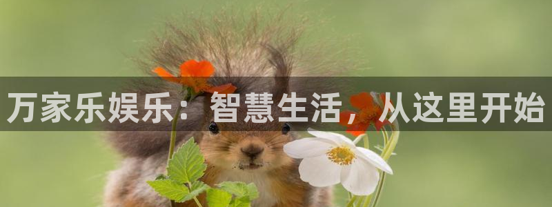 大发聚彩welcome
