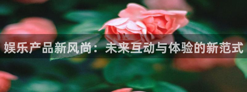 鑫聚彩led