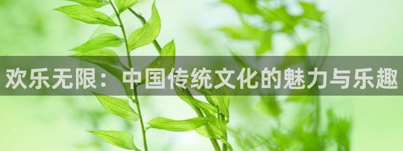 新南聚彩荟