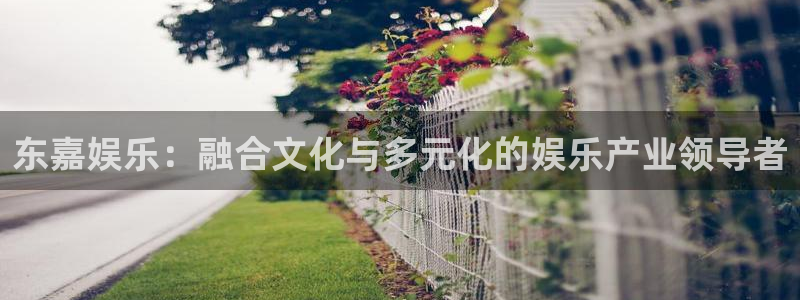 新的聚彩官网
