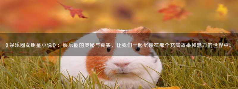 云南聚彩印刷有限公司：《娱乐圈女明星小说》：娱乐圈的奥秘与真实，让我们一起沉浸在那个充满故事和魅力的世界中。