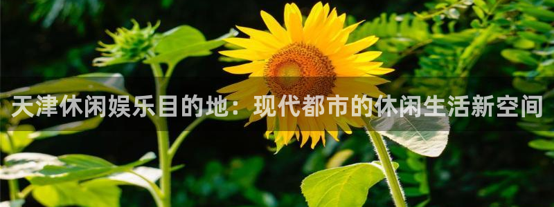 聚彩官网：天津休闲娱乐目的地：现代都市的休闲生活新空间