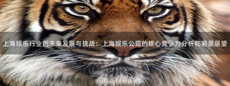 聚彩大发快三：上海娱乐行业的未来发展与挑战：上海娱乐公司的核心竞争力分析和前景展望