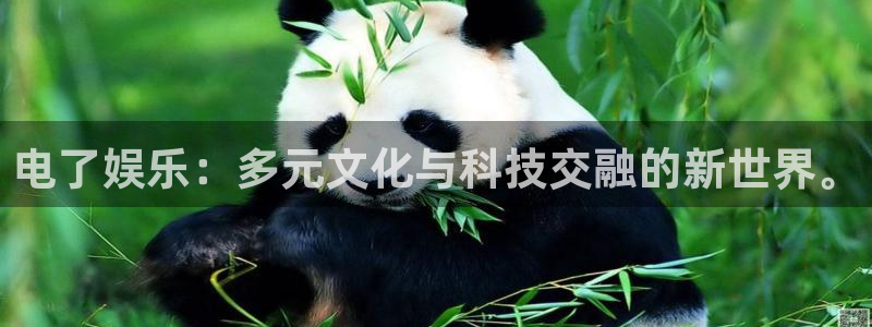 聚彩官方网app下载：电了娱乐：多元文化与科技交融的新世界。