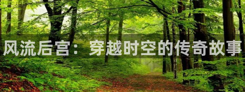 深圳聚彩科技：风流后宫：穿越时空的传奇故事