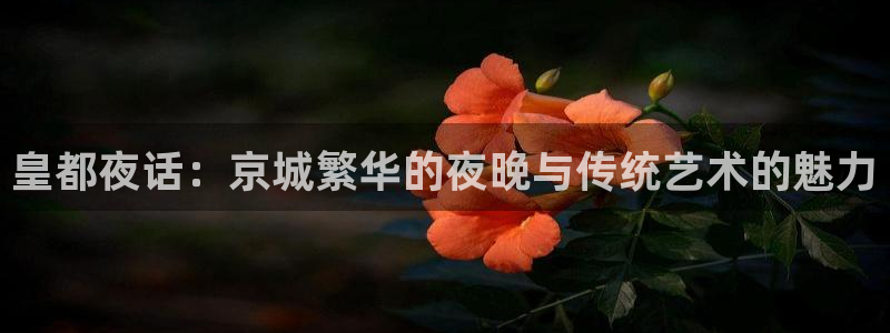 聚彩app官方正版：皇都夜话：京城繁华的夜晚与传统艺术的魅力