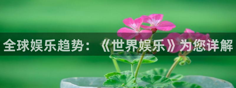 app70838聚彩平台网站：全球娱乐趋势：《世界娱乐》为您详解