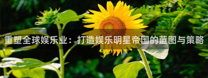 聚彩堂下载：重塑全球娱乐业：打造娱乐明星帝国的蓝图与策略