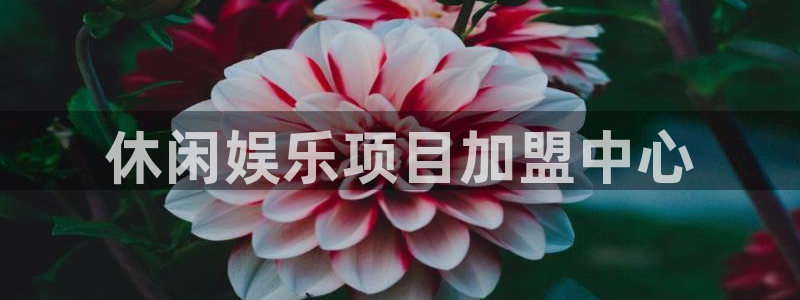 聚彩注册大厅官网：休闲娱乐项目加盟中心