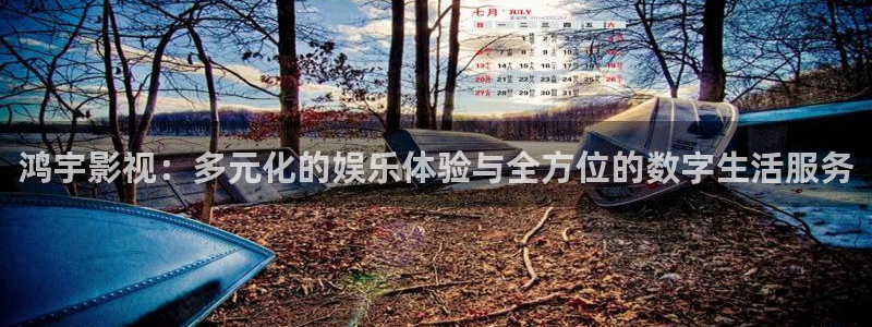 聚彩官方正版官网：鸿宇影视：多元化的娱乐体验与全方位的数字生活服务