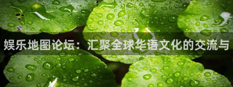 深圳市聚彩科技有限公司：娱乐地图论坛：汇聚全球华语文化的交流与