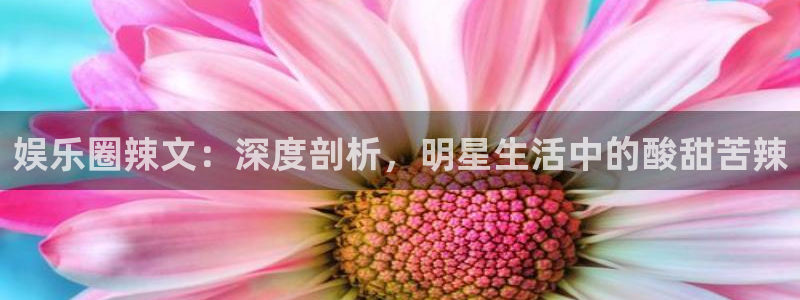 浙江聚彩工贸有限公司：娱乐圈辣文：深度剖析，明星生活中的酸甜苦辣