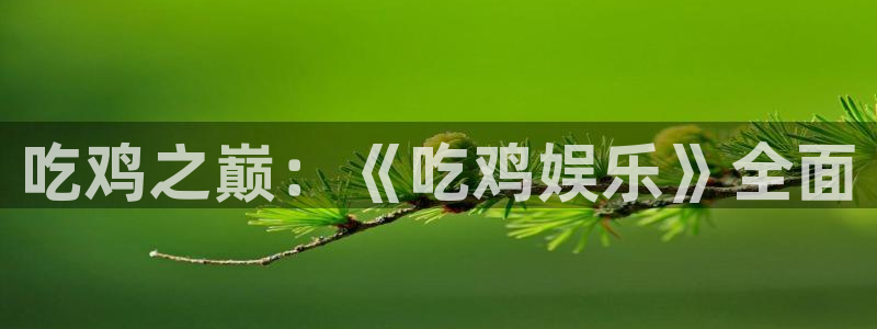 聚彩居三和：吃鸡之巅：《吃鸡娱乐》全面