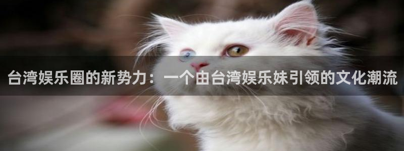 聚彩网app下载：台湾娱乐圈的新势力：一个由台湾娱乐妹引领的文化潮流
