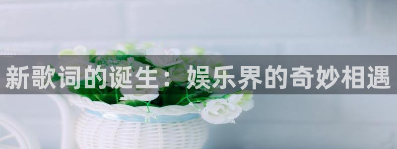 聚彩堂高手论坛官网入口网址：新歌词的诞生：娱乐界的奇妙相遇